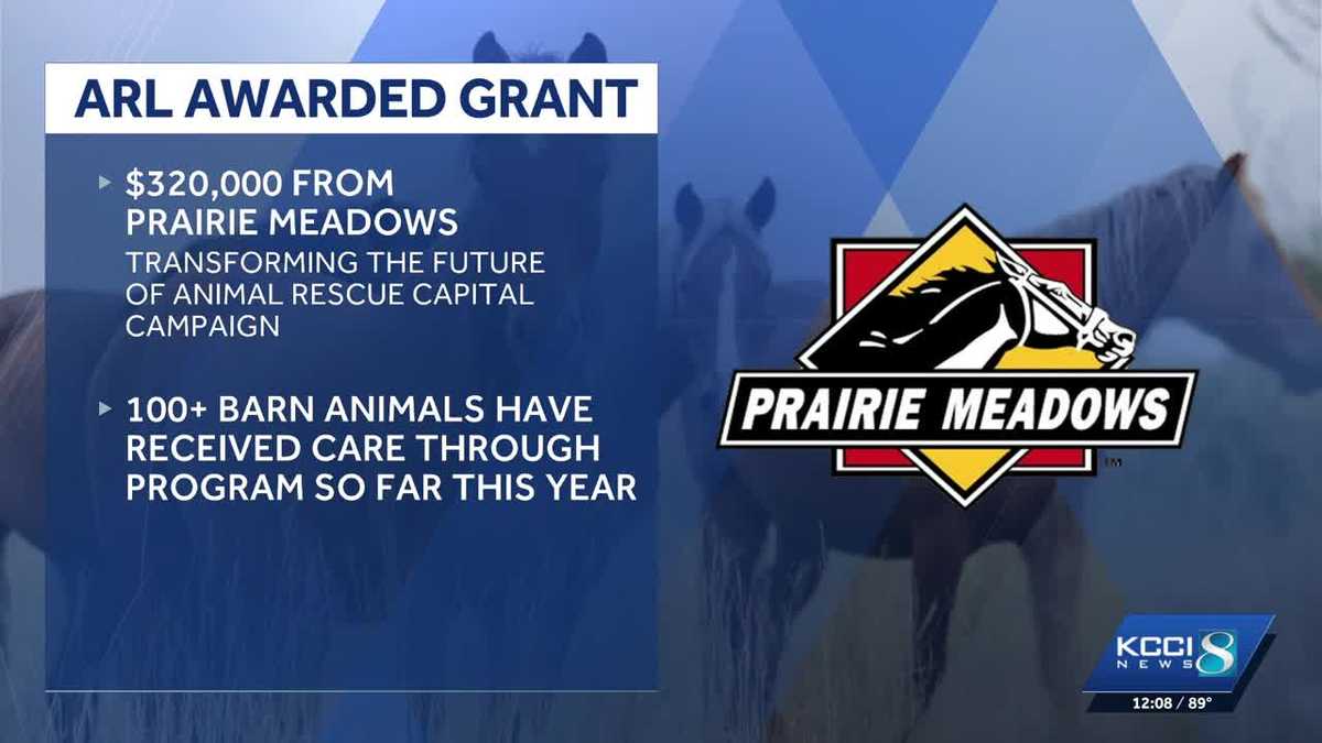 Iowa animal rescue gets $320,000 grant to care for barn animals