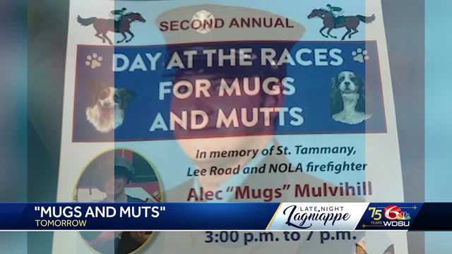 Fundraiser for animals in loving memory of local firefighter - Vimarsana News