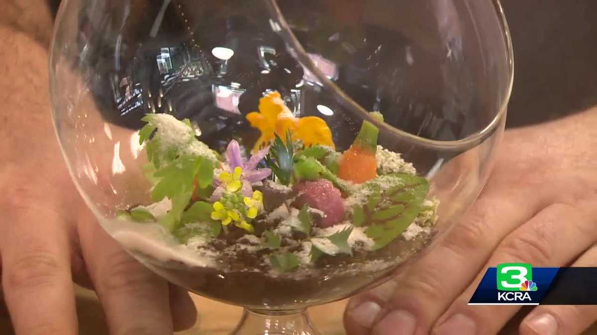 Is this dinner or art? Sacramento's Origami offers unique dishes