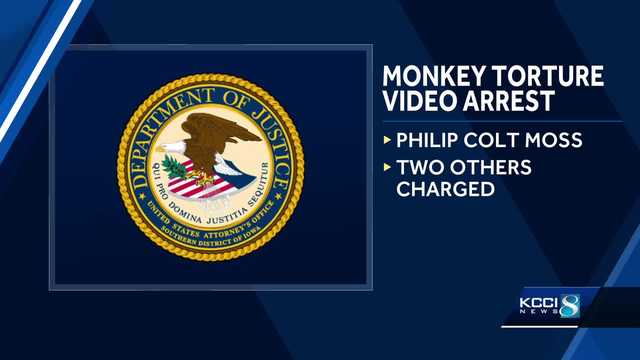 Iowa man accused of creating videos depicting monkey torture ...
