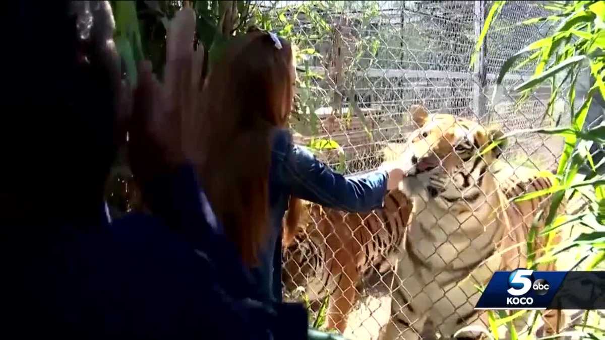 TIGER KING ZOO Officials speak after closure of 'Tiger King' zoo in