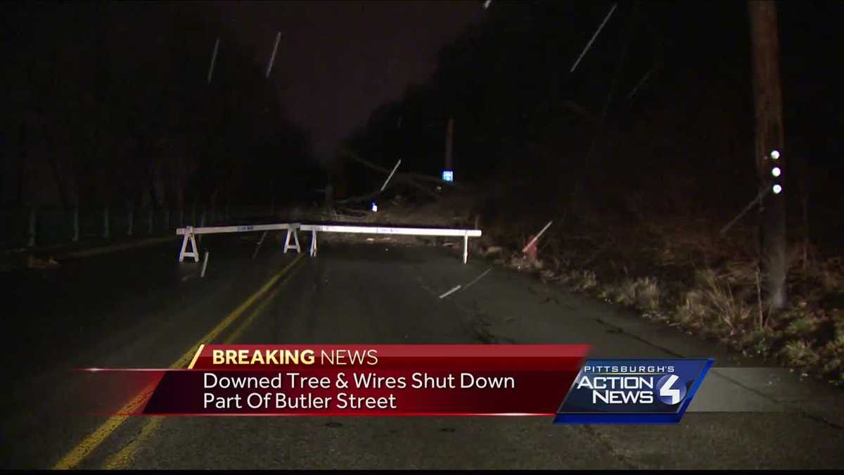 Strong winds bring down trees and cause power outages in Pittsburgh