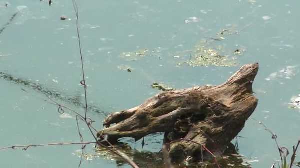 army corps of engineers asks boaters to watch for debris in saylorville lake