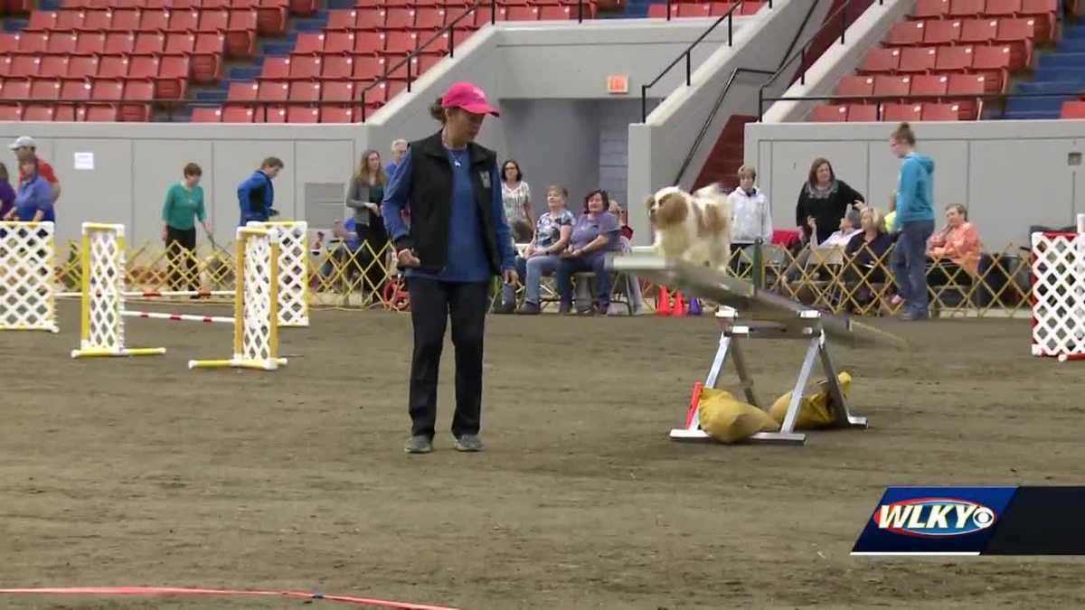 Kentuckiana Cluster of Dog Shows at Expo Center