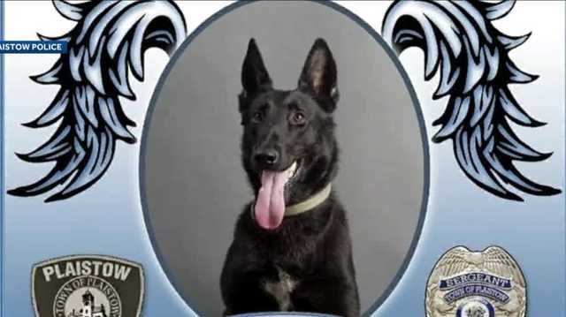 Plaistow, New Hampshire police mourn unexpected death of K-9 - Vimarsana News