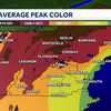 Weather Classroom: What makes a good foliage season?