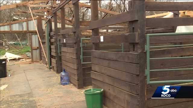 Oklahoma horse farm in path of devastating tornado - Vimarsana News
