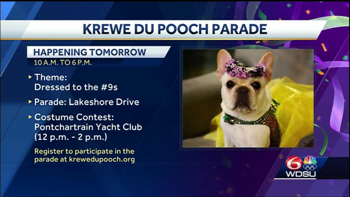 New dog parade to make its debut
