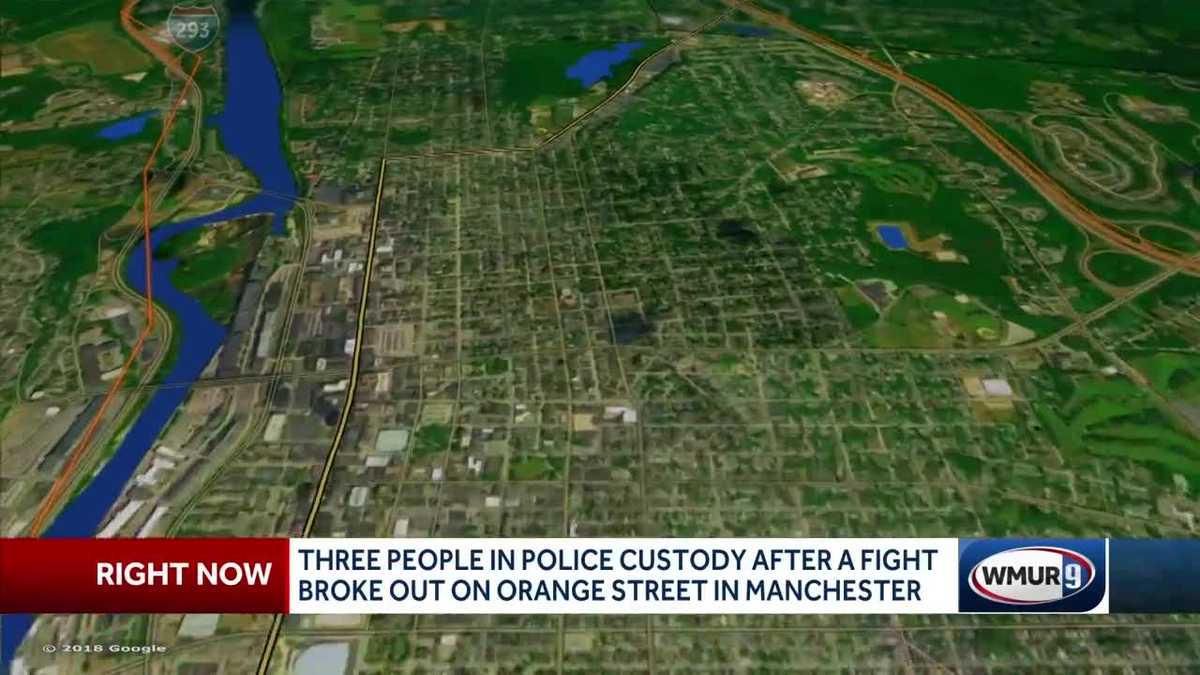 Three taken into custody after fight in Manchester