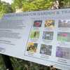 Johnson's new pollinator trail turns flood-damaged area into space for community connection