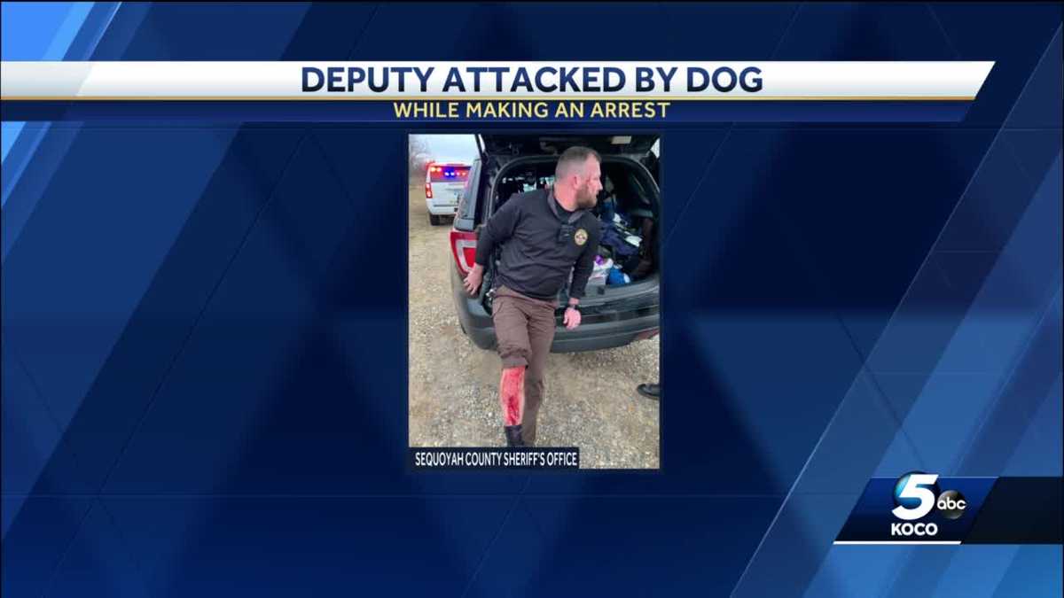 Dog attacks Oklahoma deputy attempting to arrest its owner