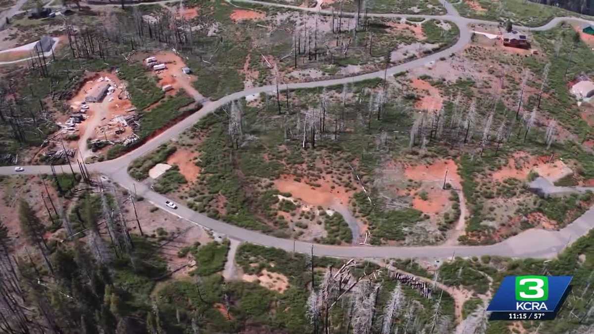 Five years after Caldor fire, Grizzly Flats trees remain a threat