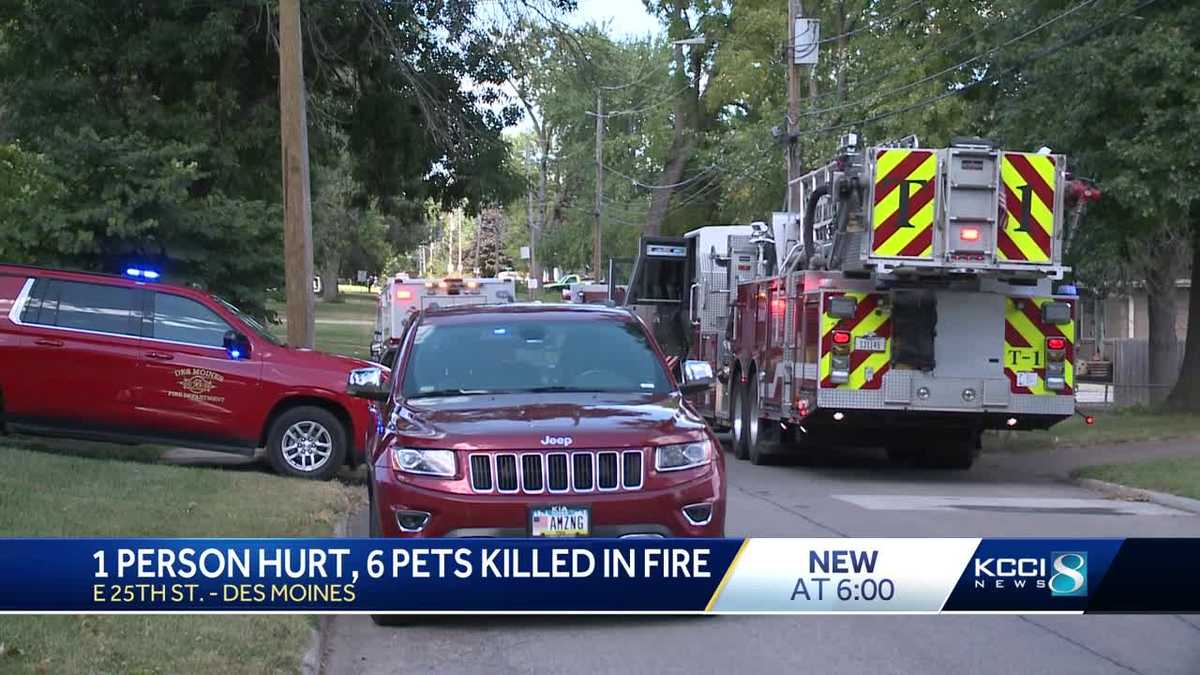 1 person hurt, 6 pets killed in Des Moines fire