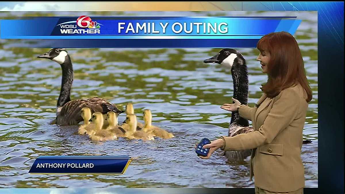 Wednesday Overnight: Great weather for a family outing