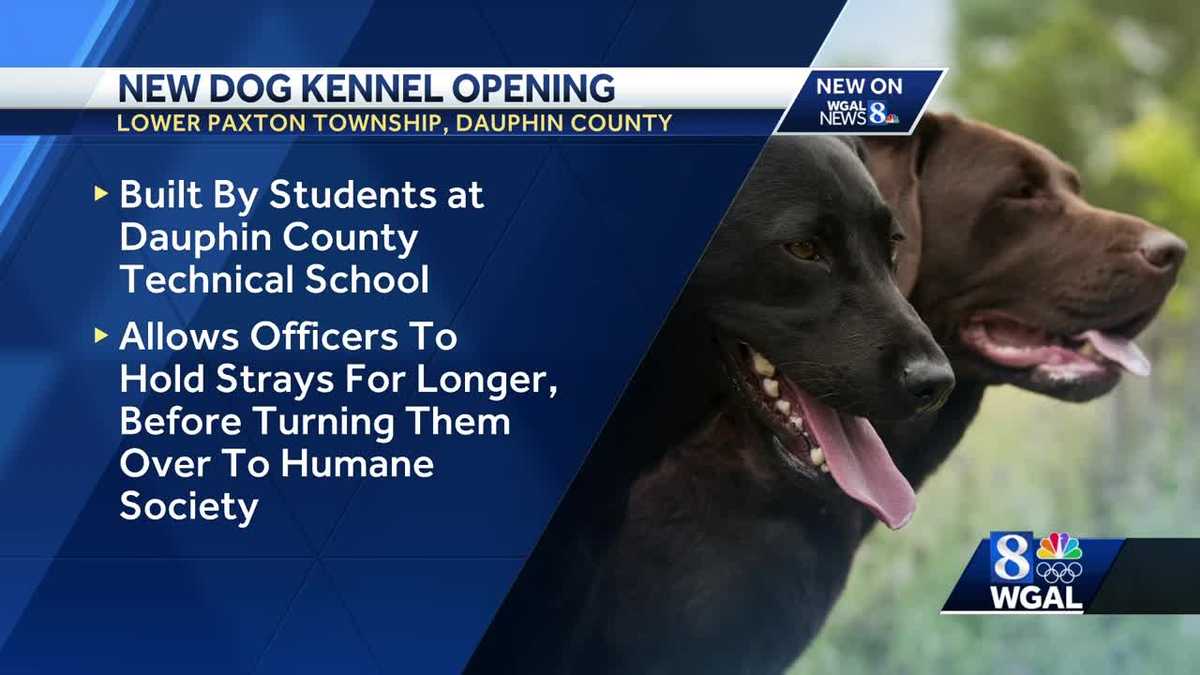 Lower Paxton Township unveils new dog kennel to help reunite stray dogs with their owners