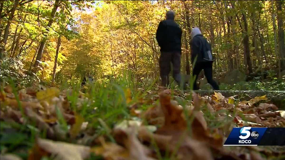 Will Oklahoma weather help with fall allergies?