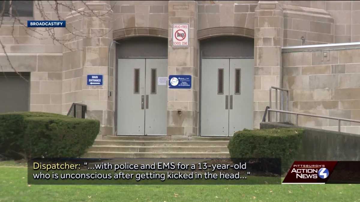 Student lost consciousness after "getting kicked in the head" at Oliver