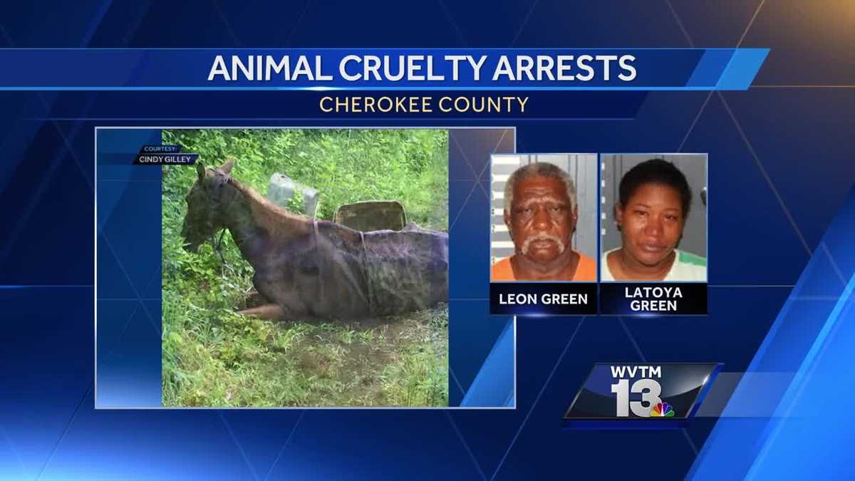 Couple arrested on animal cruelty charges in Cherokee County horse case
