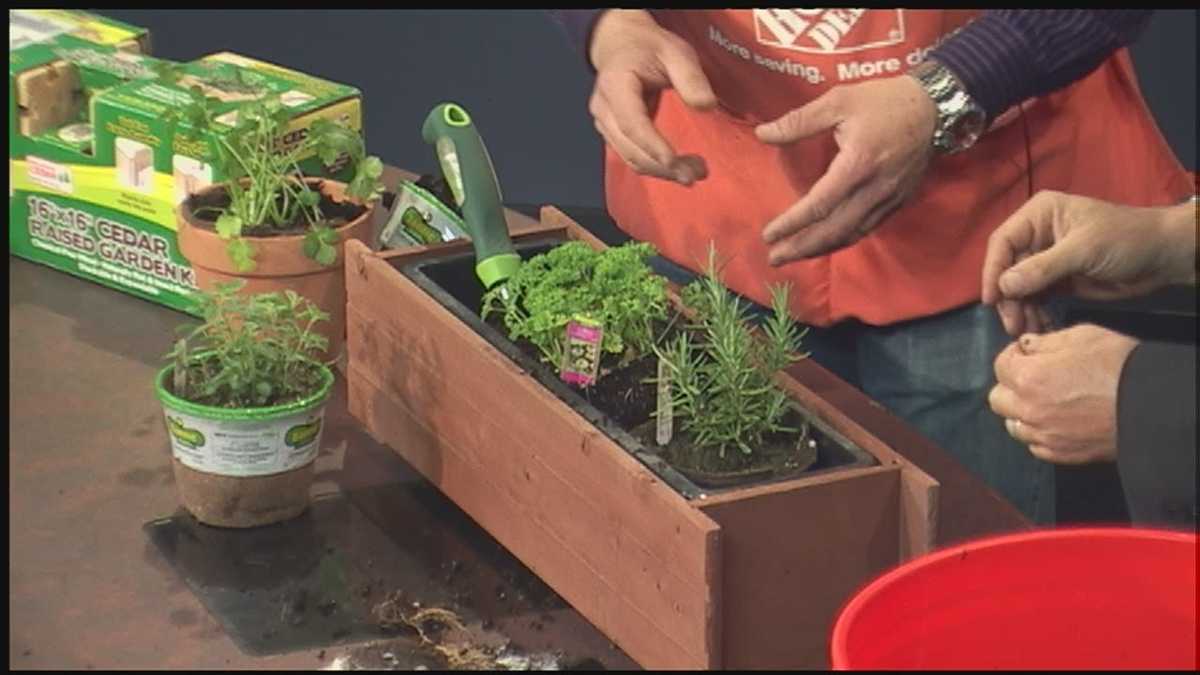 Learn how to make an indoor herb garden