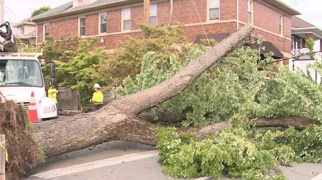 Strong winds following Friday night's storm cause damage throughout parts of the Louisville - Vimarsana News