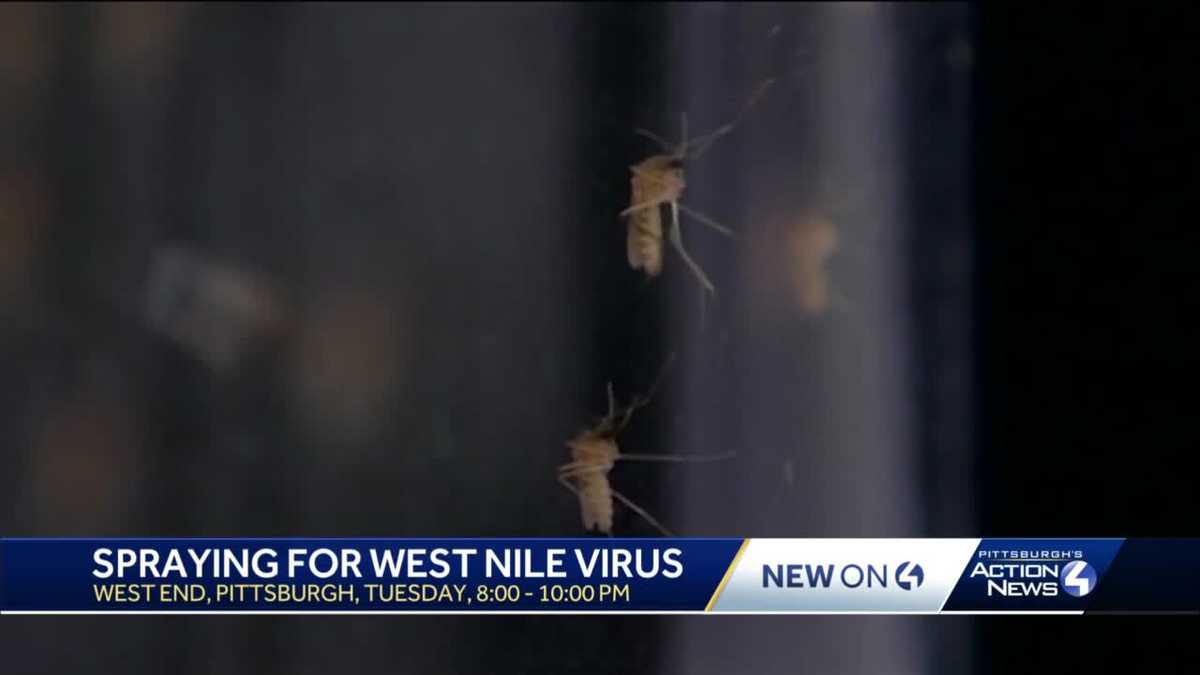 Health Department to spray Pittsburgh's West End after mosquitos test positive for West Nile virus - WTAE Pittsburgh