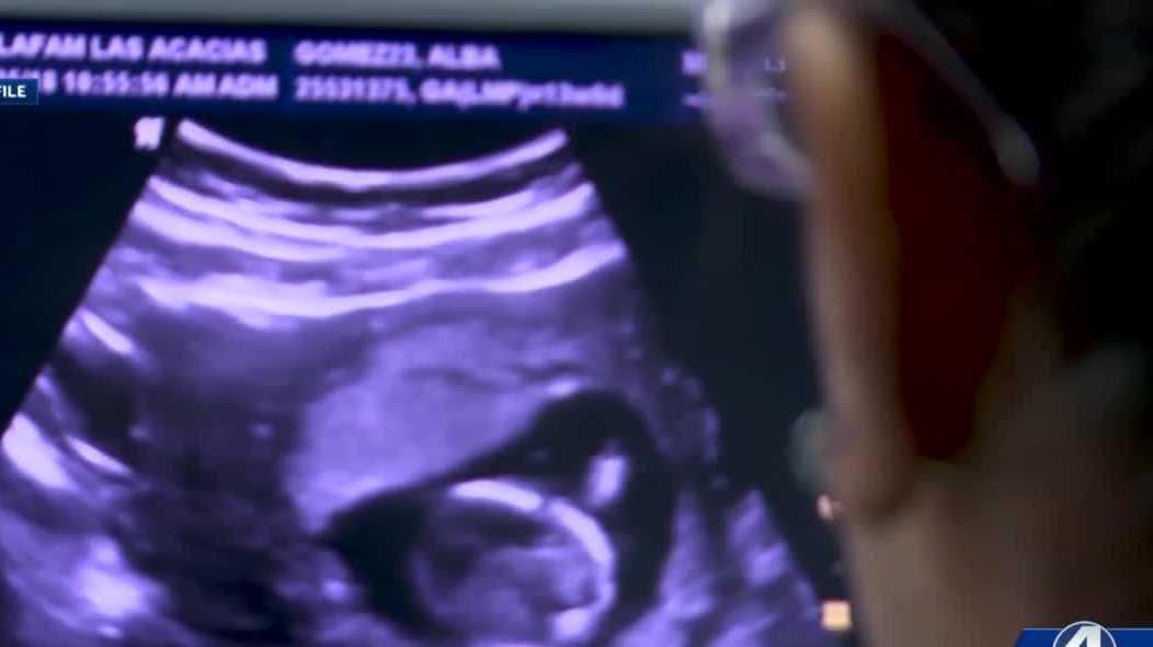 Abortion, DUI laws among first topics for South Carolina lawmakers this year