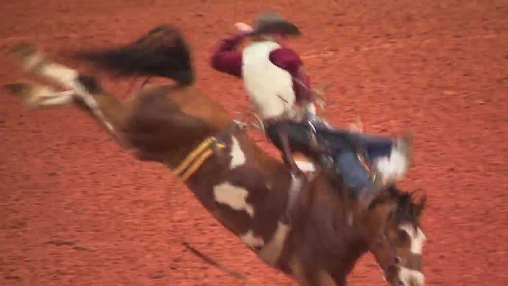 98th annual Arcadia All-Florida Championship Rodeo comes to Mosaic ...