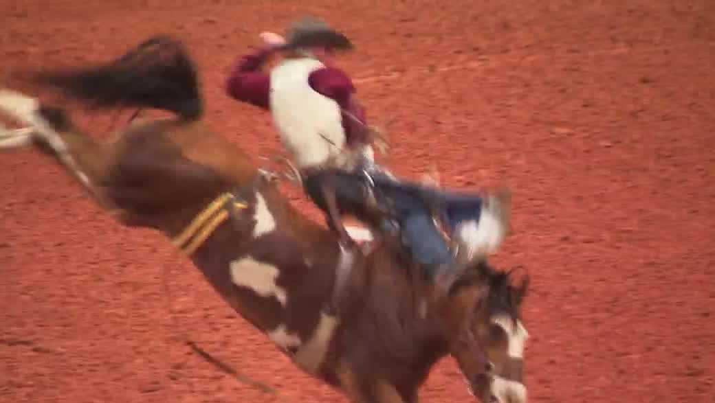 98th annual Arcadia All-Florida Championship Rodeo comes to Mosaic Arena