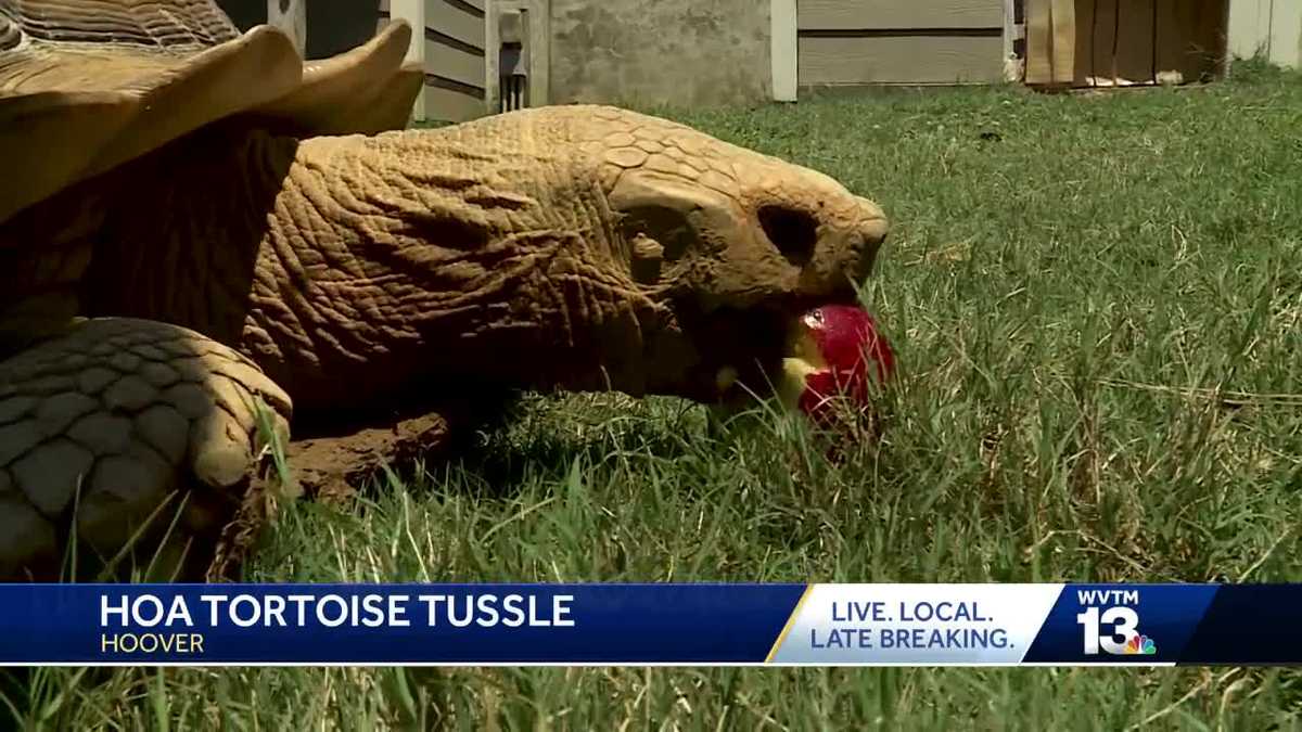 Ross Bridge family fights to save beloved pet from eviction