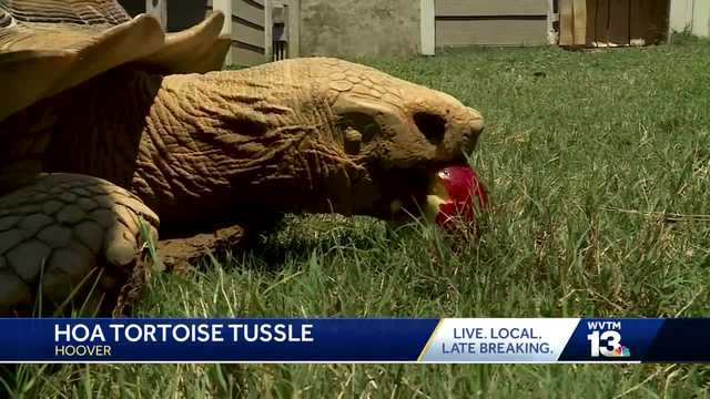 Ross Bridge family fights to save beloved pet from eviction - Vimarsana News