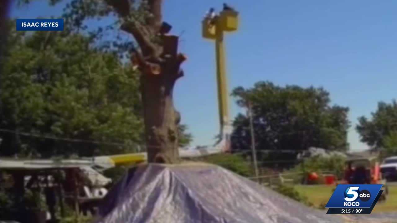CAUGHT ON CAMERA: Tree trimmers survive 45-foot fall after cable snaps during job
