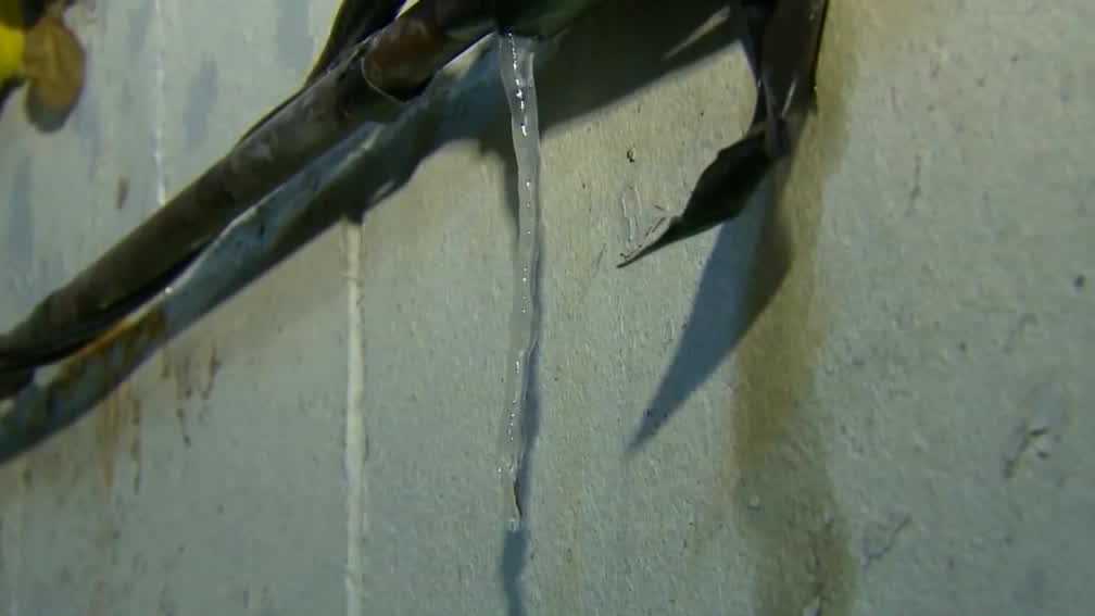Homeowners urged to protect pipes as subzero temperatures hit Iowa