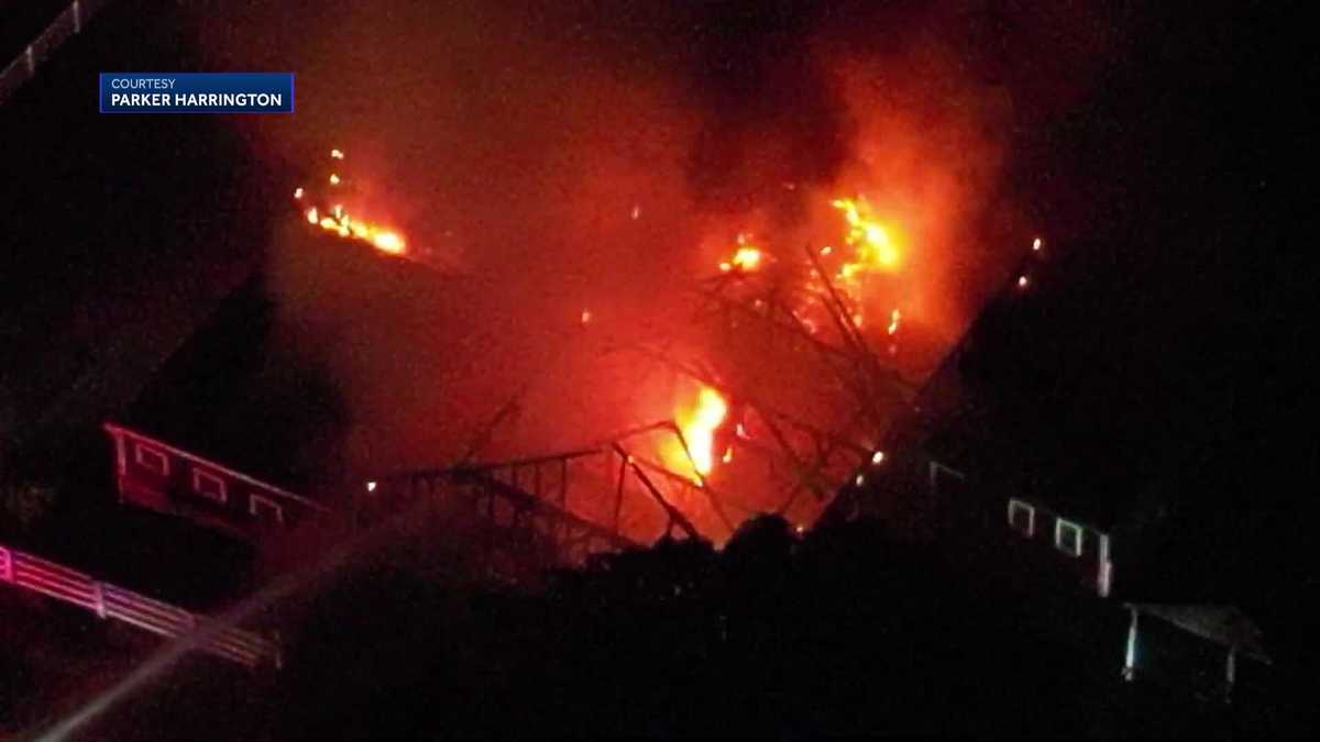 Eight Horses Die in Mor Linn Farm Barn Fire