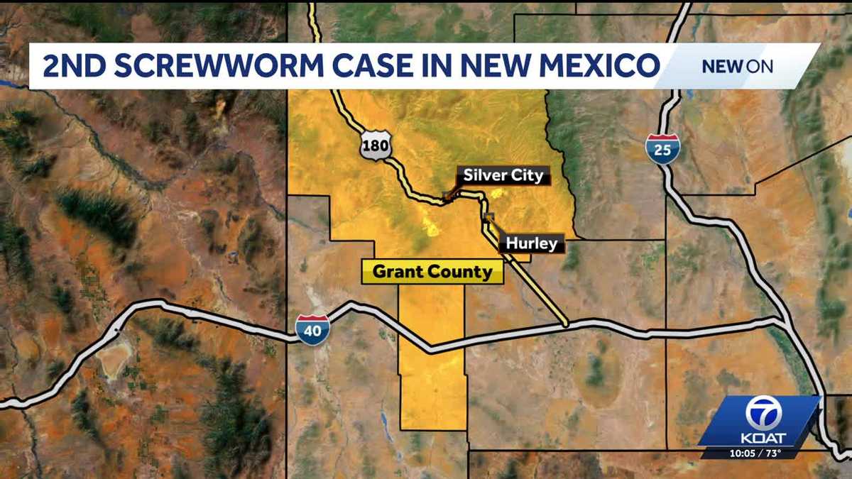 Second screwworm case detected in Grant County, NM