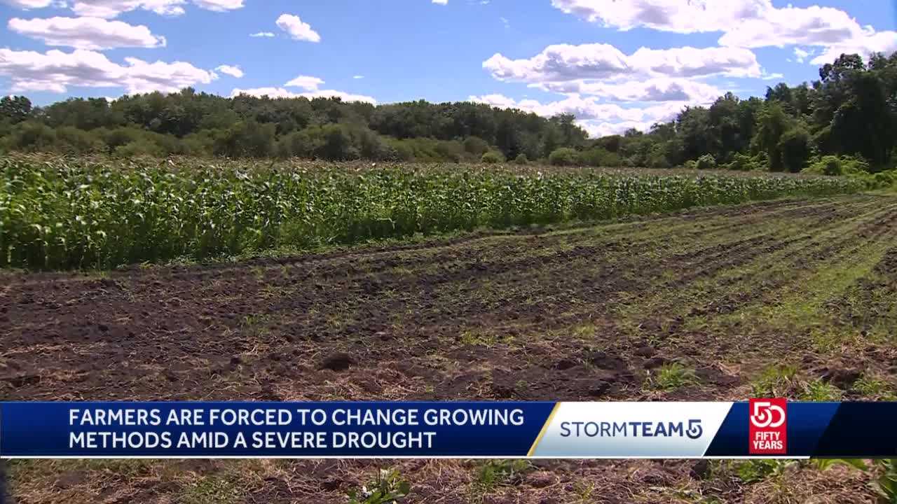 'Disaster Mode': Massachusetts Farmers Hard Hit By Worsening Drought