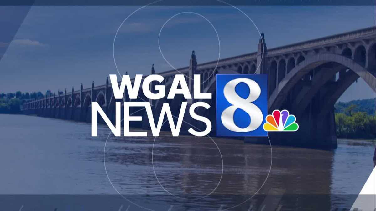 School van hits deer