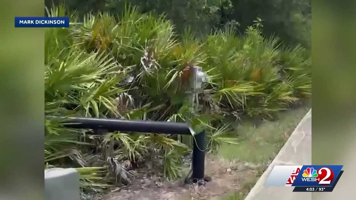 Police in Florida used fake Flock camera, Oviedo mayor says