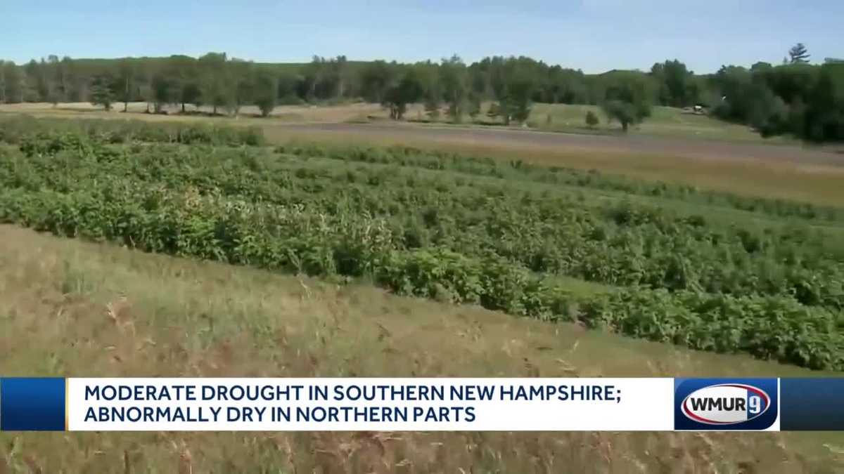 Conservation measures urged as drought continues in southern NH
