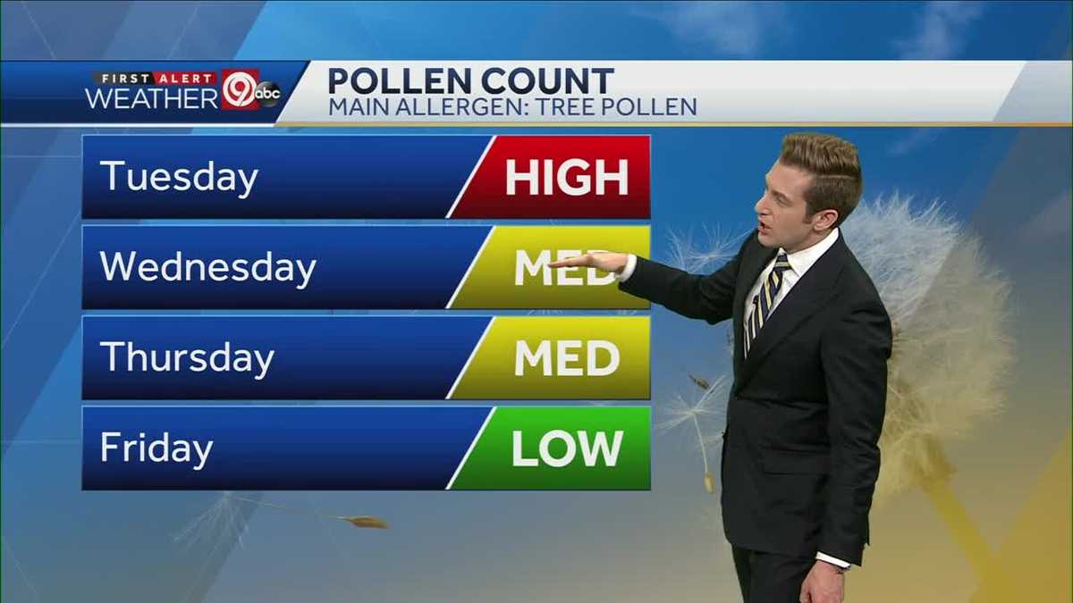 pollen high 1