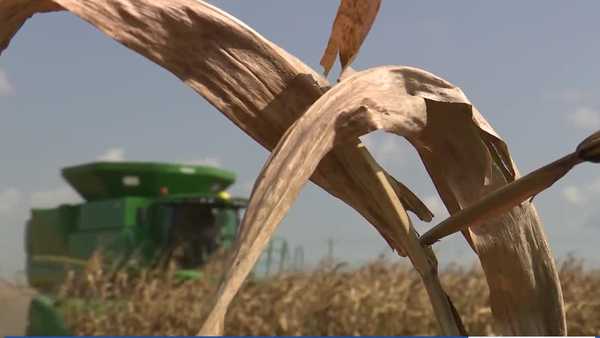 KCCI Investigates: What could be ahead for Shelby, Story counties' pipeline case