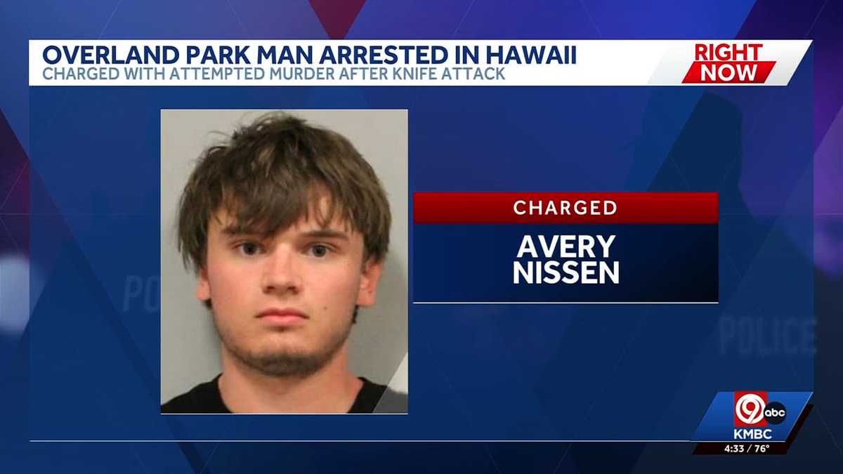 Overland Park, Kansas, man charged in Hawaii stabbing case appears in court