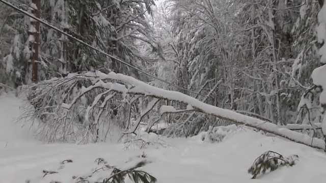 Power companies in NH prepare for upcoming storm - Vimarsana News
