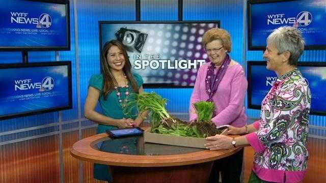 INTERVIEW: Gardeners share tips, source of inspiration