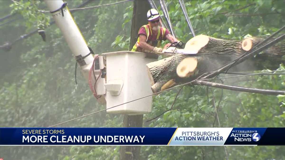 Tree down, power outages in Monroeville