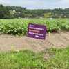 Vermont program marks one year of supporting local farms and fresh food access