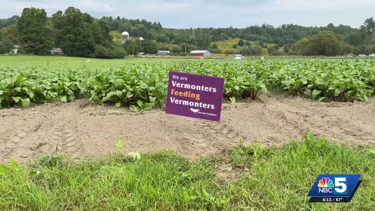 Vermont program marks one year of supporting local farms and fresh food access
