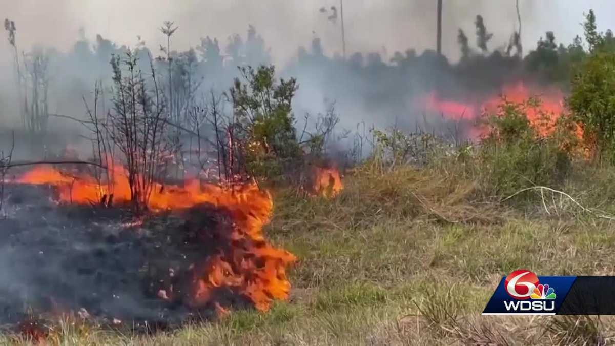 Grilling not encouraged Labor Day amid burn ban in Louisiana