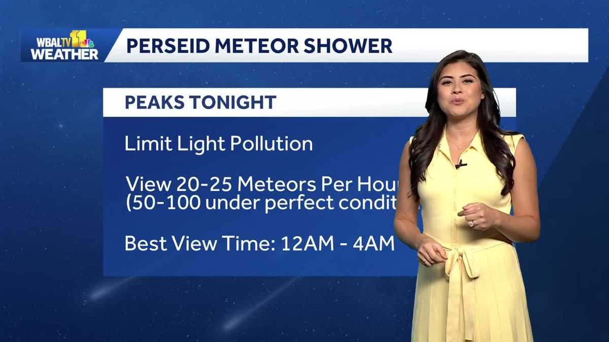 Perseid meteor shower over Baltimore
