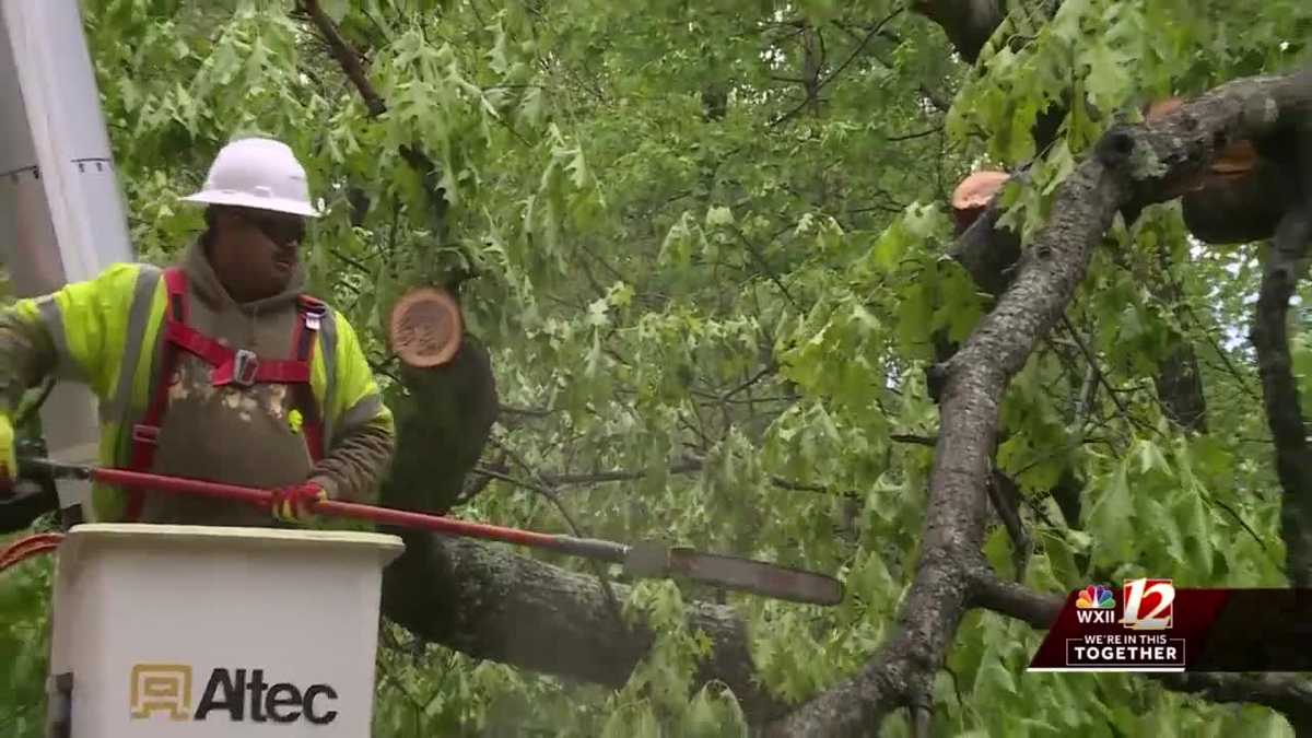 Davidson County: Woman dies after tree falls on home