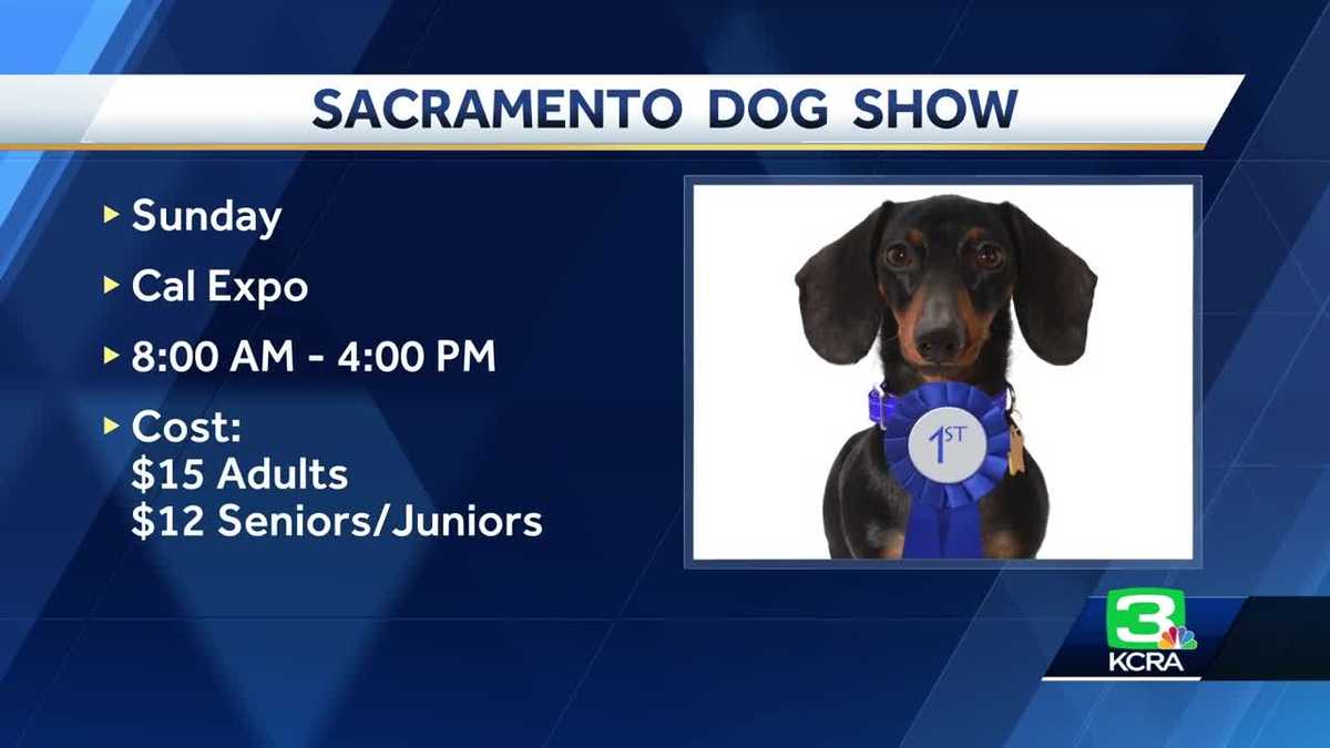 Sacramento Dog Show is one of the longeststanding shows in nation